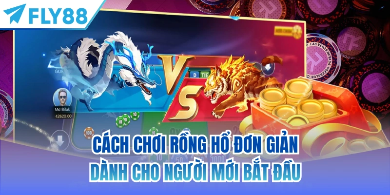 cách chơi rồng hổ