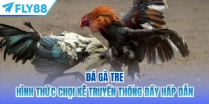 đá gà tre