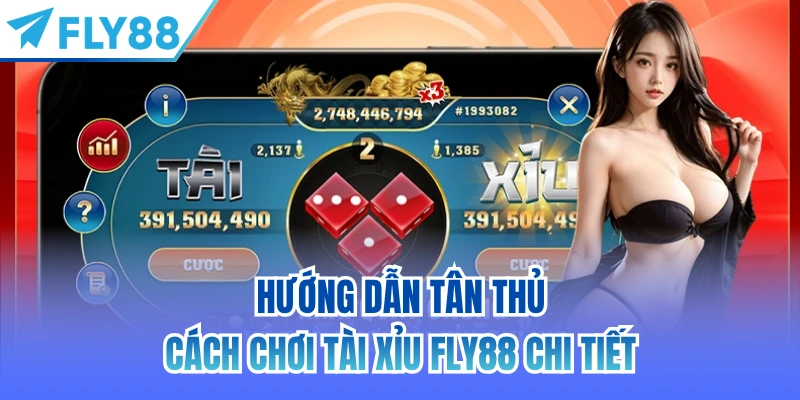 Hướng dẫn tân thủ cách chơi Tài Xỉu FLY88 chi tiết