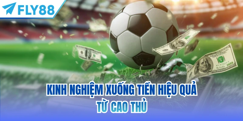 Kinh nghiệm xuống tiền hiệu quả từ cao thủ