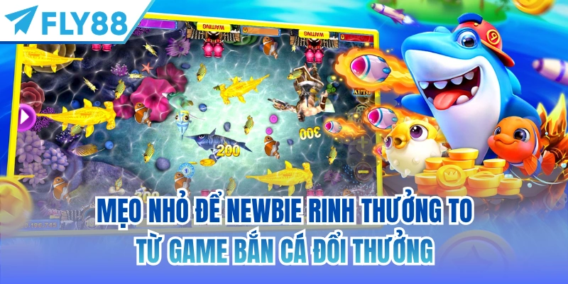 Mẹo nhỏ để newbie rinh thưởng to từ game bắn cá đổi thưởng
