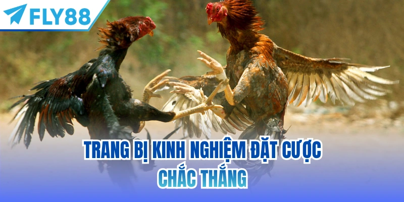 Trang bị kinh nghiệm đặt cược chắc thắng